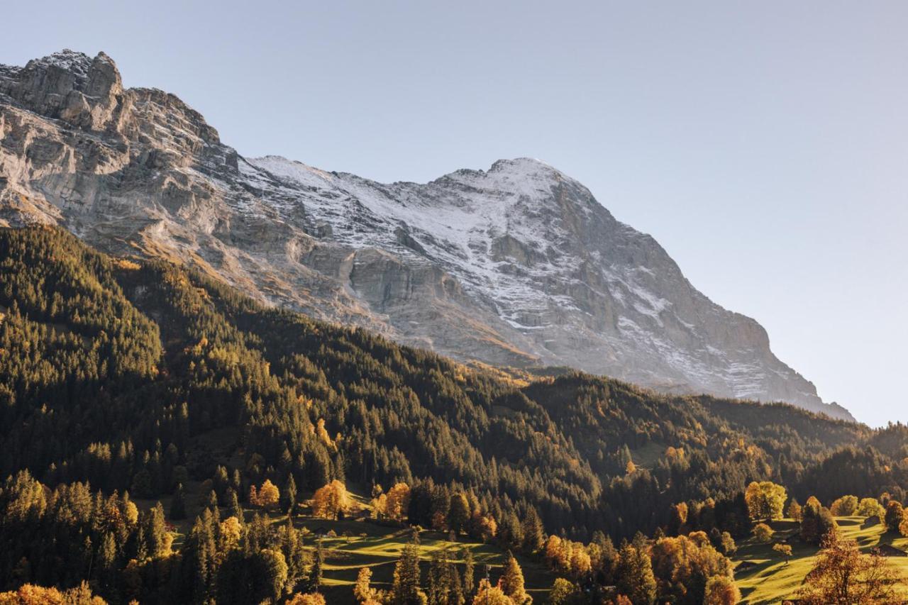 Hotel Fiescherblick Grindelwald Eksteriør bilde