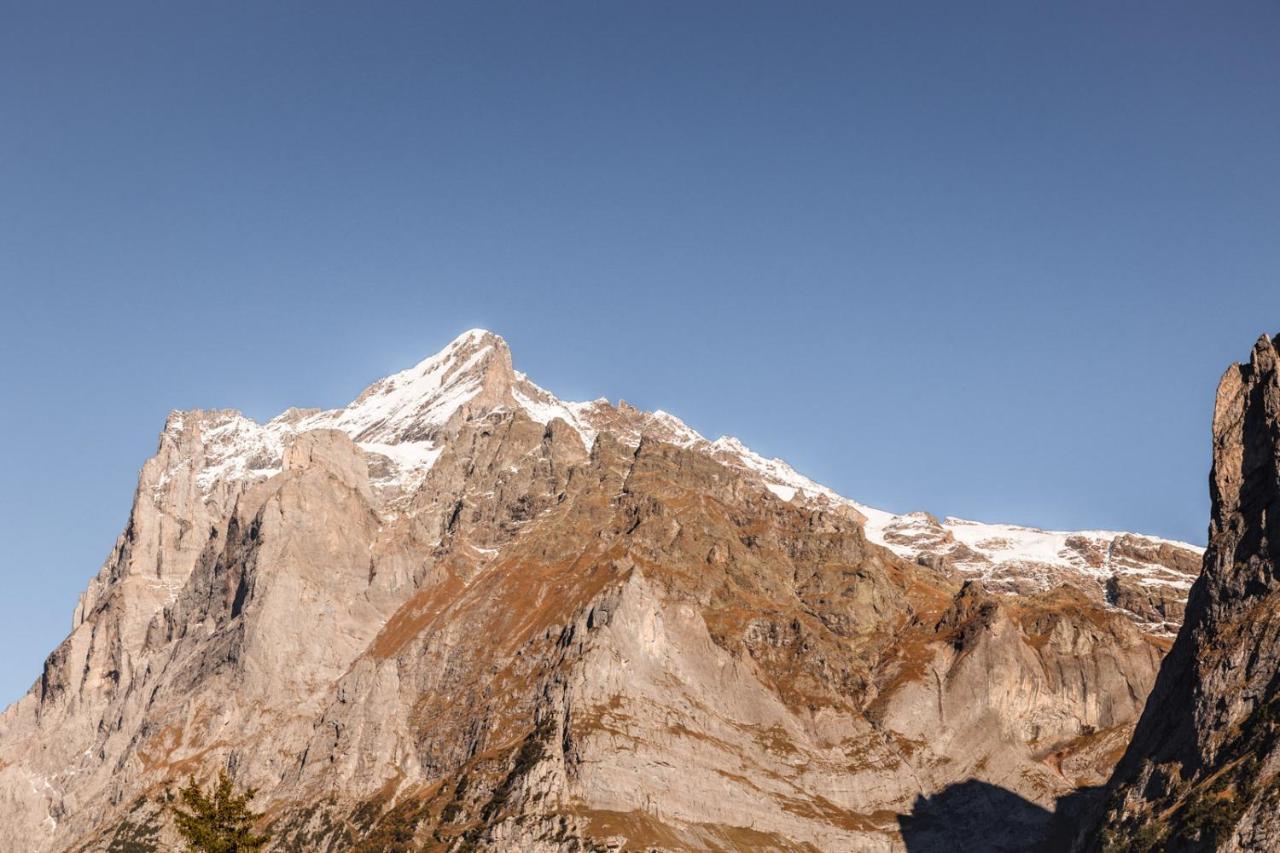 Hotel Fiescherblick Grindelwald Eksteriør bilde